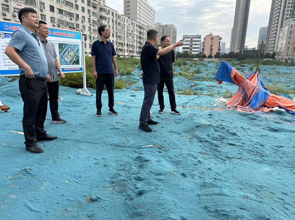 dcbox小金库官网党委委员、副总经理张岩到侯寨新镇区安置区调研项目建设工作