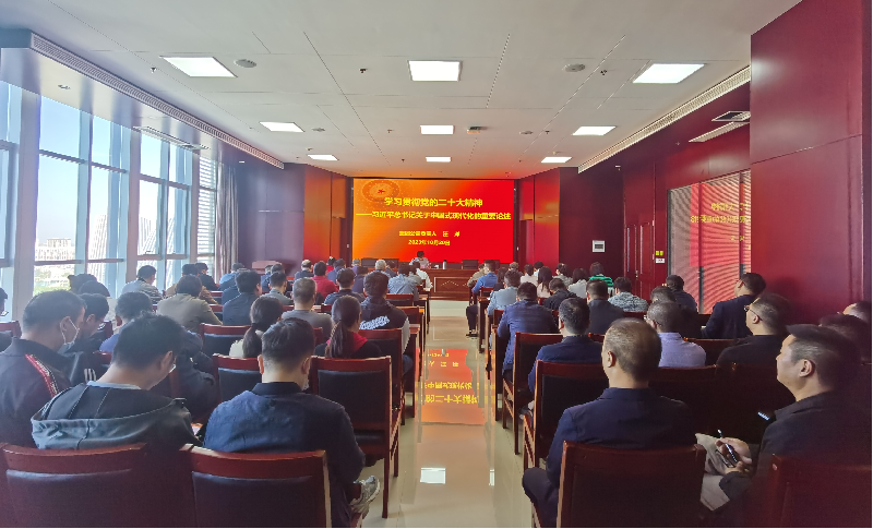 紧跟核心强忠诚 在深学细悟中坚定信仰信念 ——dcbox小金库官网负责人汪洋同志为全体党员讲授主题教育专题党课